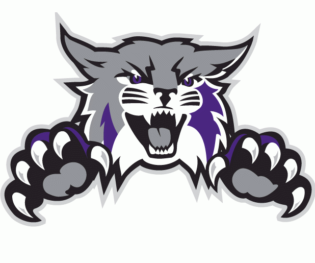 Weber State Wildcats 2012-Pres Alternate Logo diy DTF decal sticker